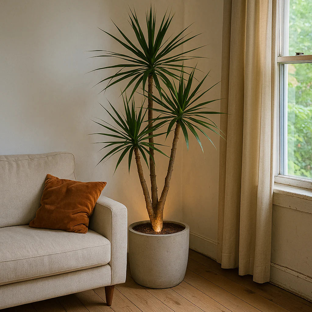 FloraGlow™ - Luxe Draadloze Planten & Interieur Spot