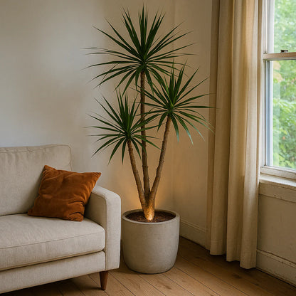 FloraGlow™ - Luxe Draadloze Planten & Interieur Spot